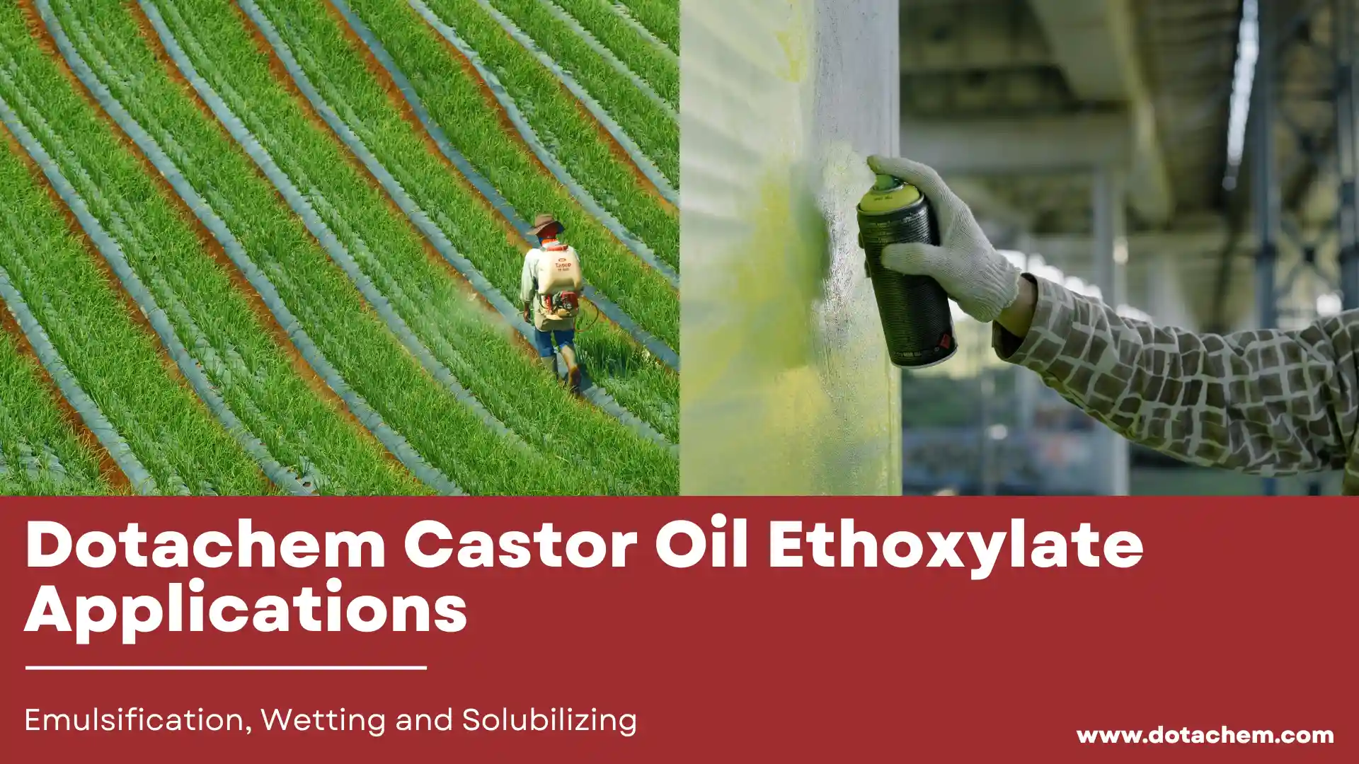 Aplicaciones de etoxilato de aceite de ricino de Dotachem en emulsificación, humectación y solubilización