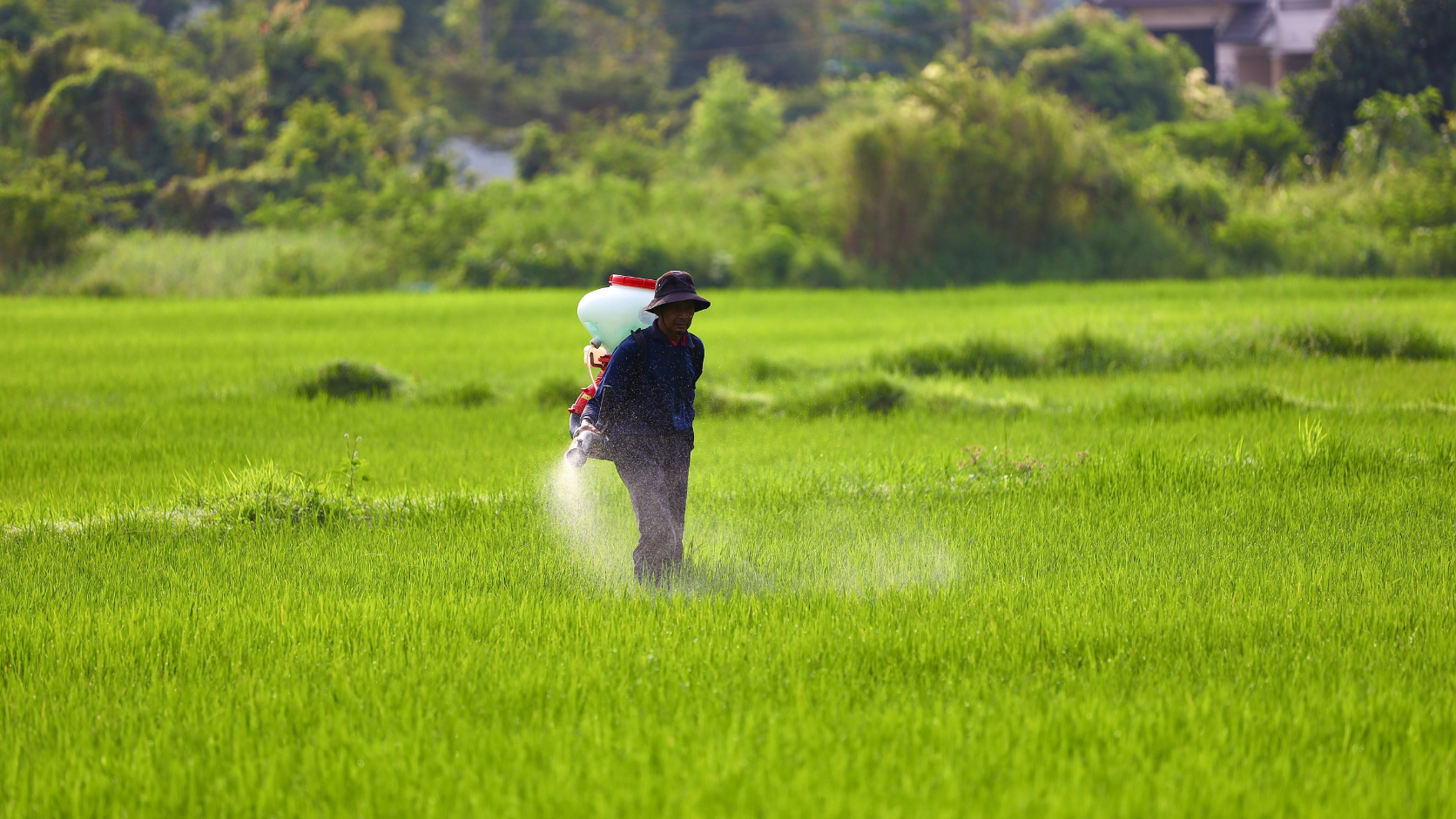 ¿Para qué se utiliza la monoetanolamina en los agroquímicos?